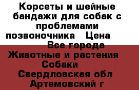 Корсеты и шейные бандажи для собак с проблемами позвоночника › Цена ­ 2 500 - Все города Животные и растения » Собаки   . Свердловская обл.,Артемовский г.